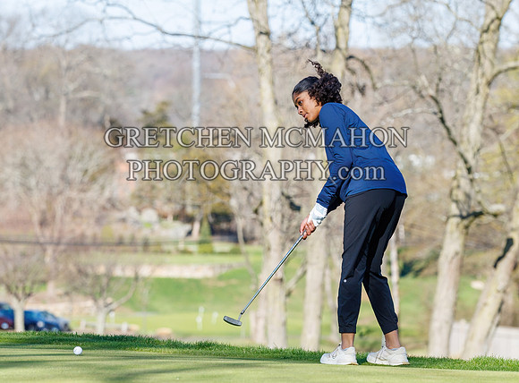 R31_2255-revised